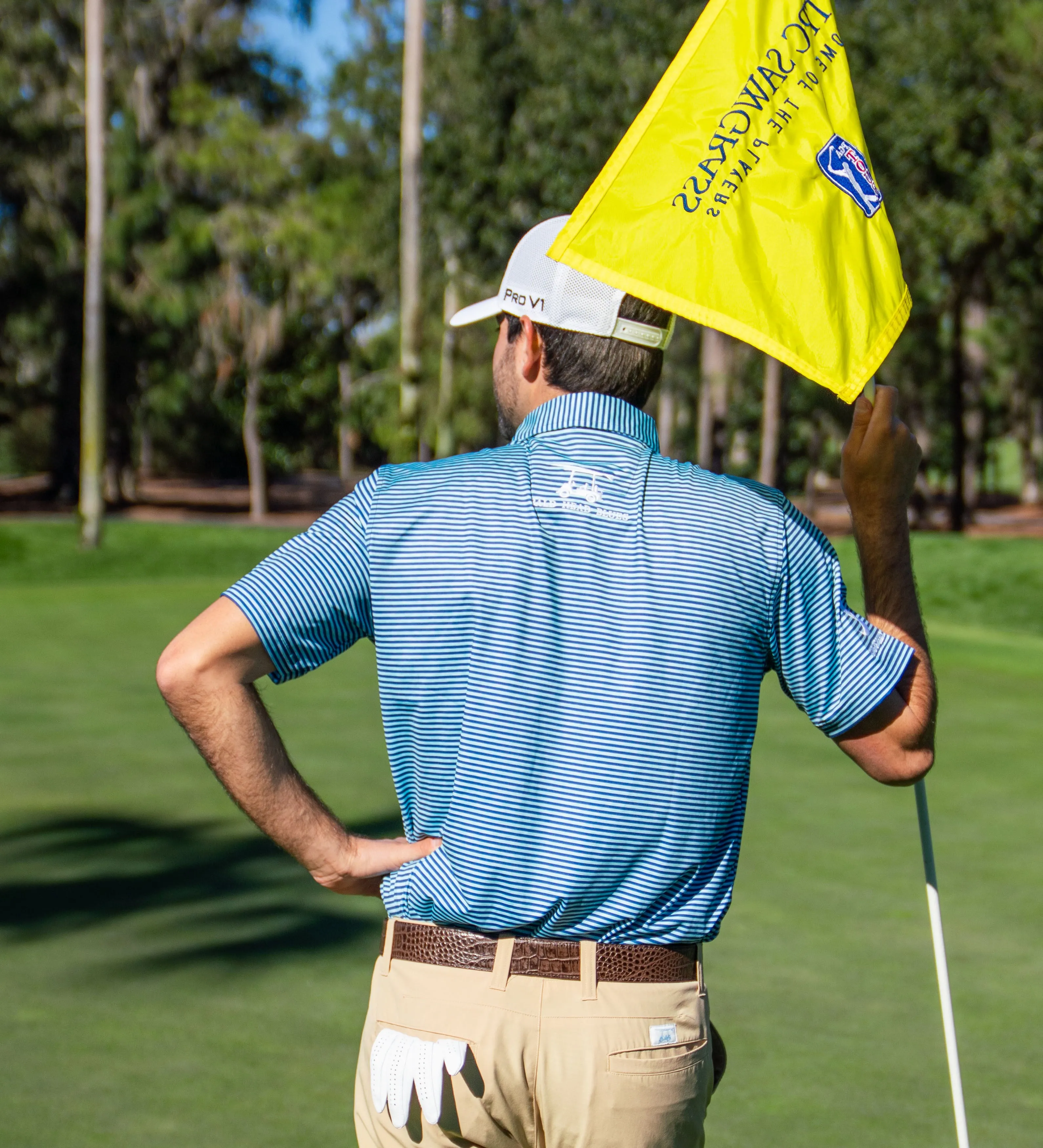 Albatross Polo - Heather Aruba / Royal Blue Stripes