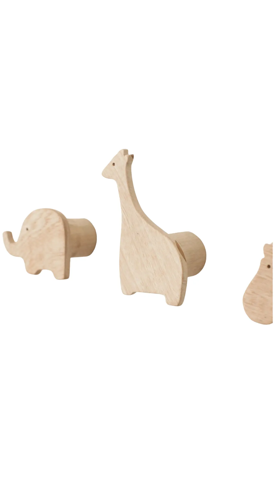 Wilderness Safari Wall Hooks