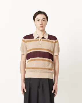 Beige Polo with Striped Spread Collar