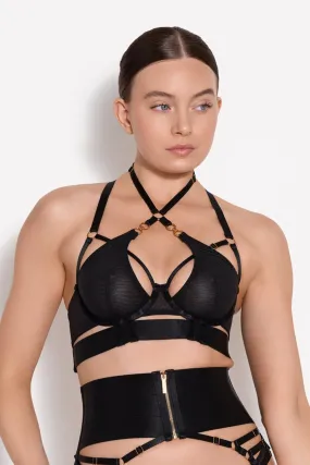 Bordelle Cadi Bodice Bra