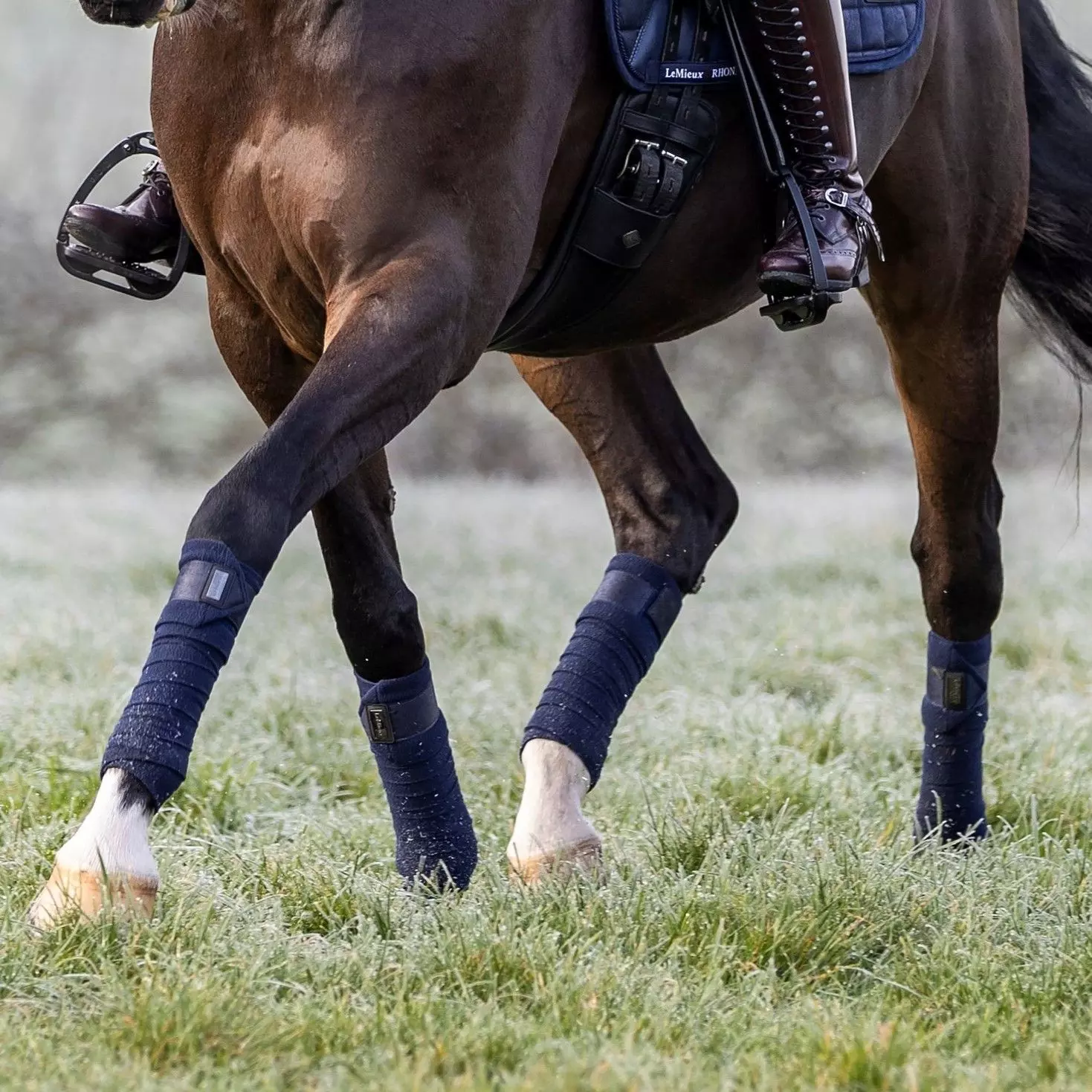 LeMieux Rhone Polo Bandages