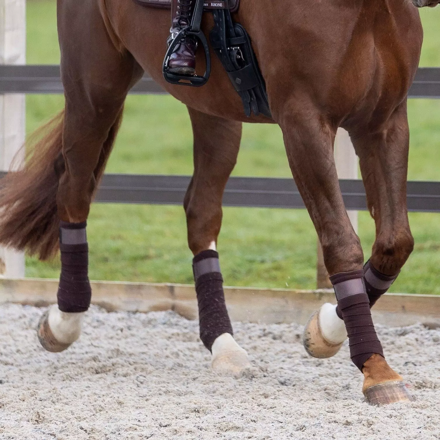 LeMieux Rhone Polo Bandages