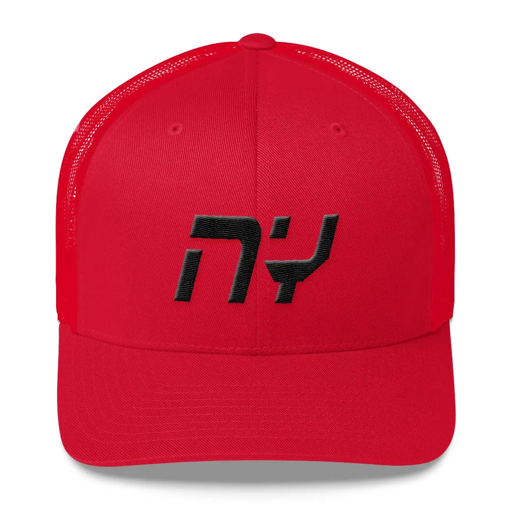 New York Trucker Cap with Mesh Back and Black Embroidery - NY - Various Color Options