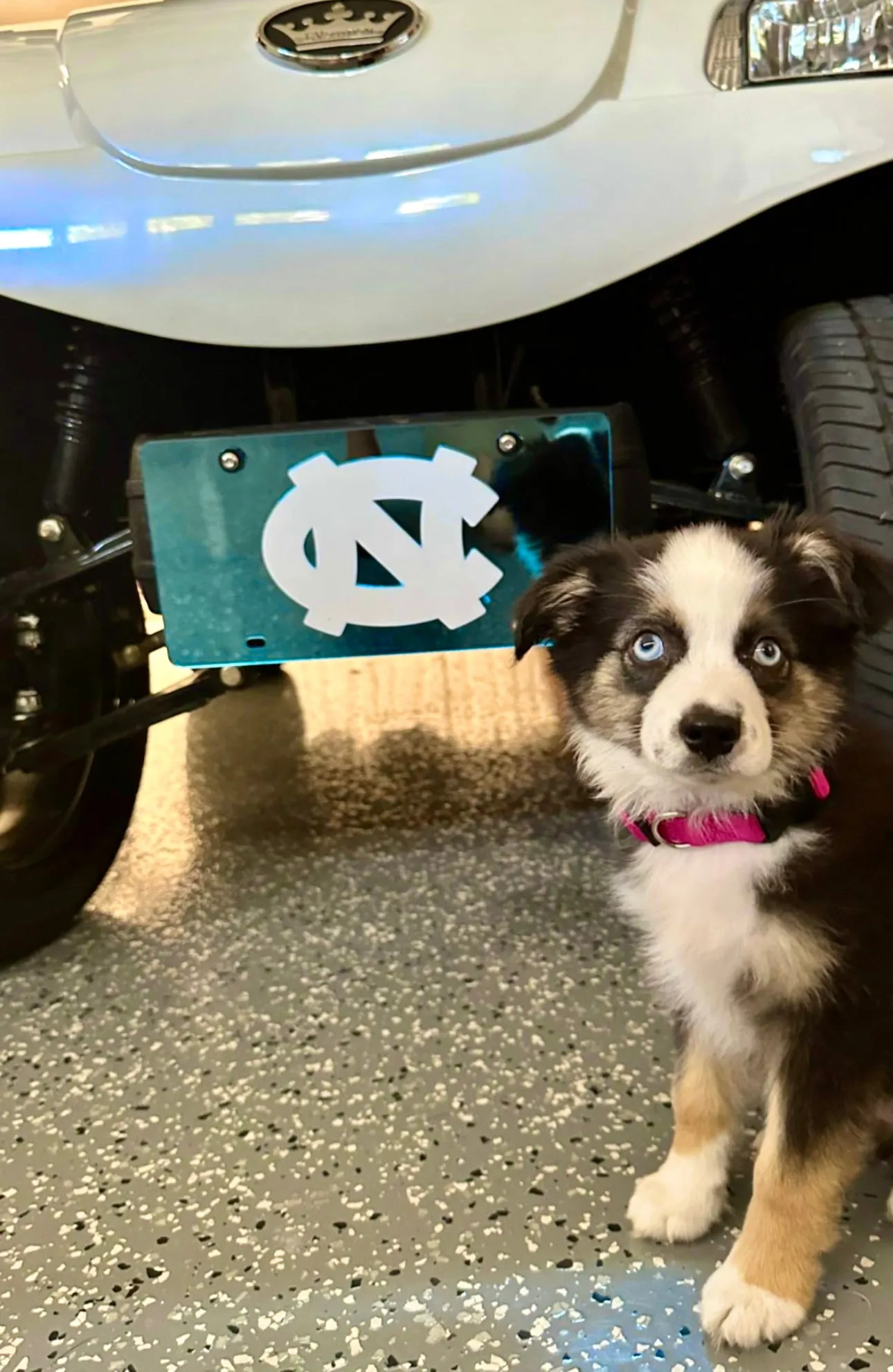 North Carolina Tar Heels Acrylic Classic Front Auto Plate