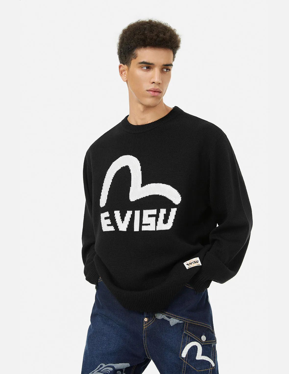 Seagull and Logo Jacquard Loose Fit Knit Sweatshirt