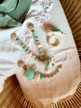 Mint Turtle Birth Set