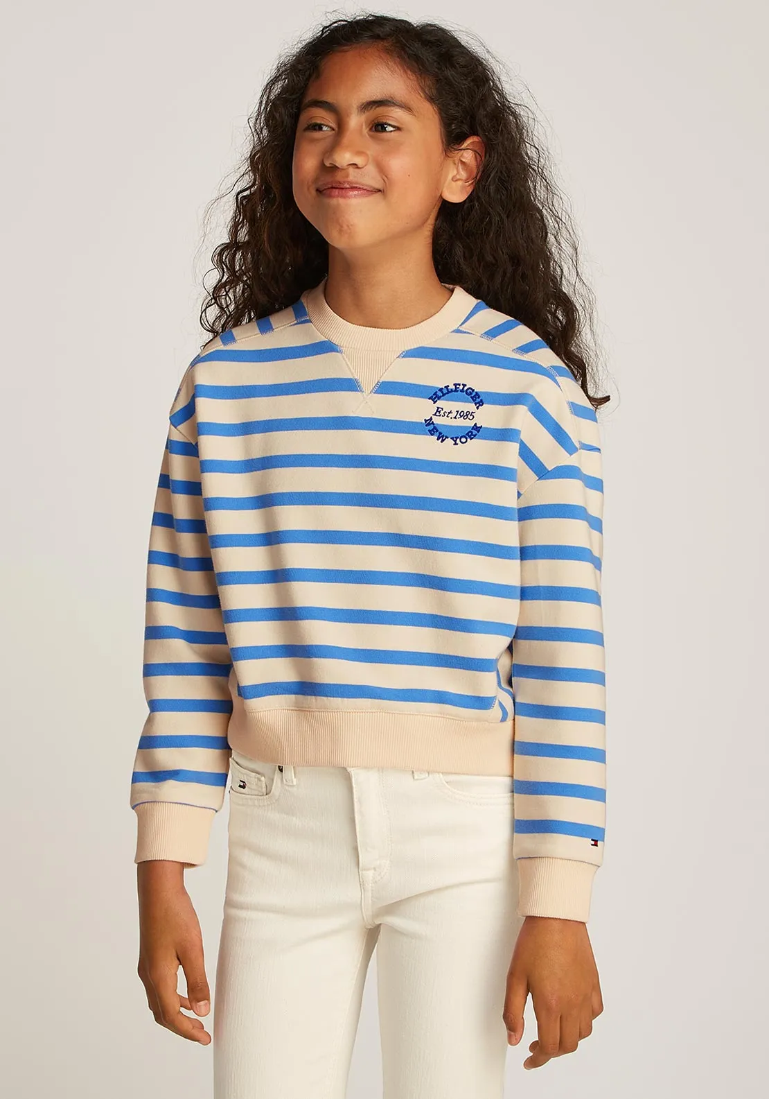 Tommy Hilfiger Girl New York Long Sleeve Stripe Sweater, Blue