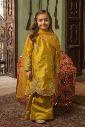 Zareen KID SKE- 323-24 (3PC)